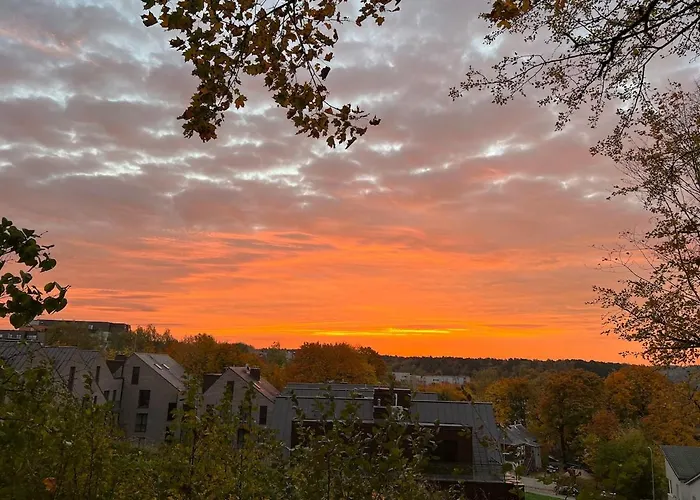 Butas The Zen Den In Uzupis